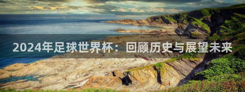 2026 世界杯：2024年足球世界杯：回顧歷史與展望未來