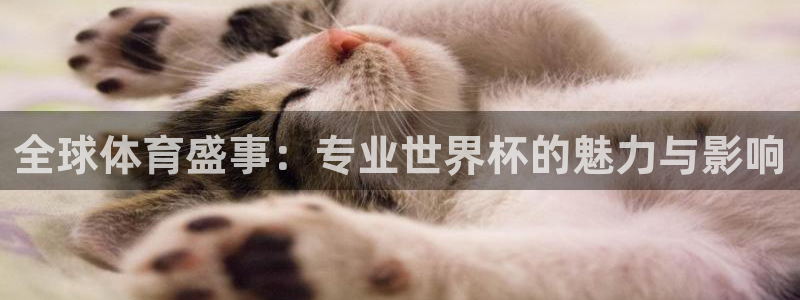世界杯賽程表2026：全球體育盛事：專業世界杯的魅力與影響
