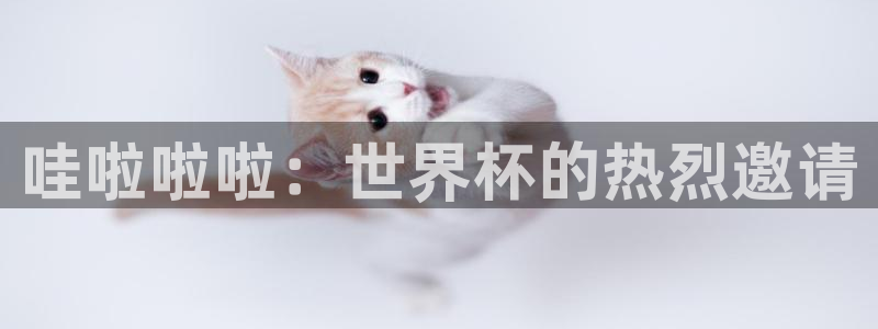 世界杯2026比賽時間表：哇啦啦啦：世界杯的熱烈邀請