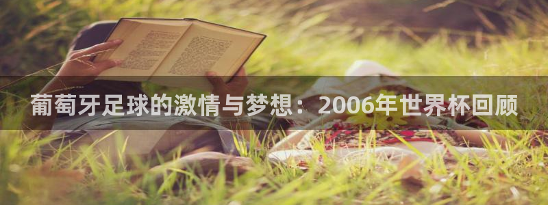 2026男足世界杯賽程：葡萄牙足球的激情與夢想：2006年世界杯回顧